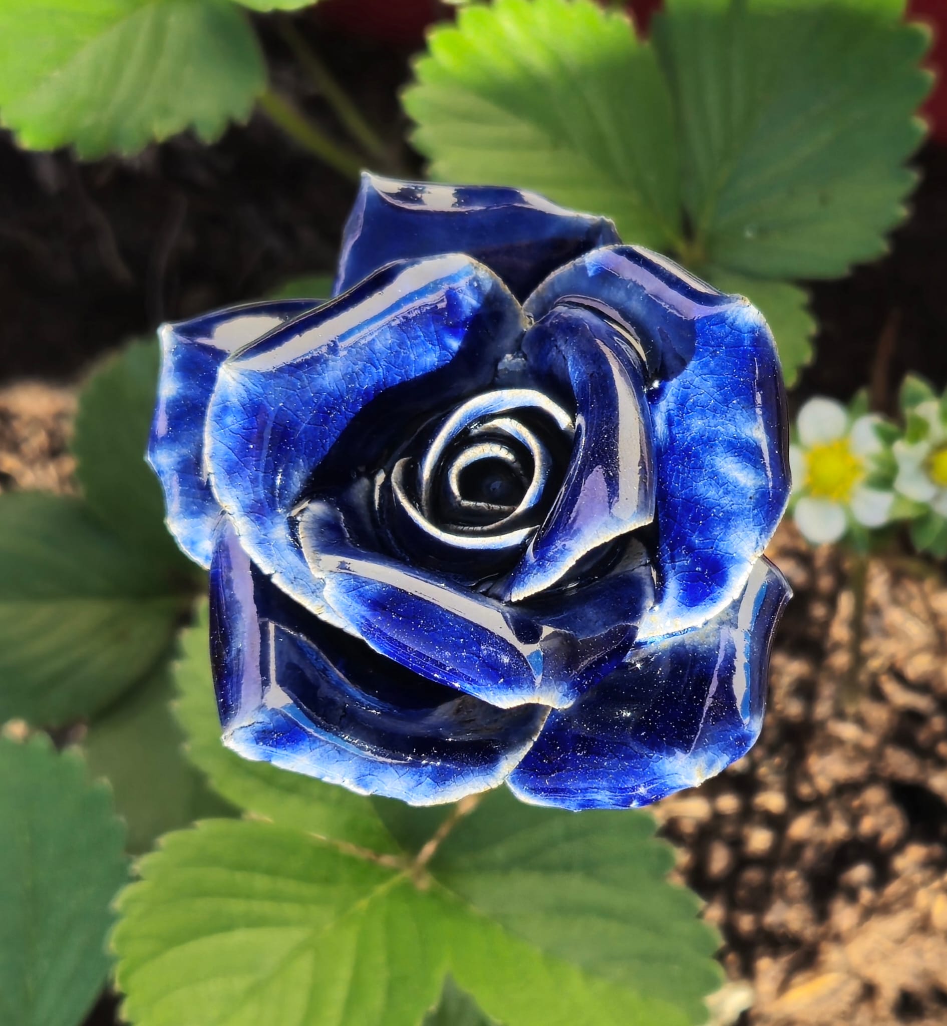 WhatsApp Image 2025 09 21 A 20.10.54 3e2ea6a4